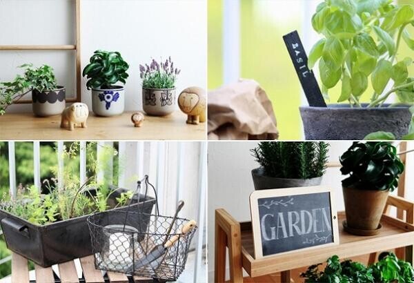 【プランツデザイナー富阪基さんに聞く植物のある暮らし・2】 　まずは小さな空間から　植物を愉しむ飾り方[PR]