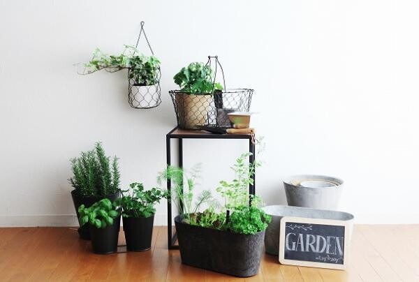 【プランツデザイナー富阪基さんに聞く植物のある暮らし・2】 　まずは小さな空間から　植物を愉しむ飾り方[PR]