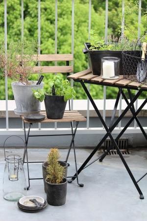 【プランツデザイナー富阪基さんに聞く植物のある暮らし・2】 　まずは小さな空間から　植物を愉しむ飾り方[PR]