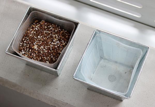 【子どもと育てる】小さな家庭菜園はじめました[PR]