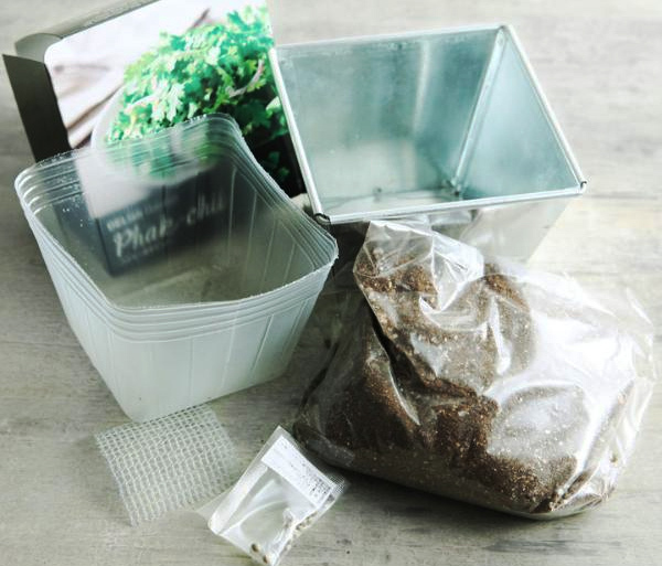 【子どもと育てる】小さな家庭菜園はじめました[PR]