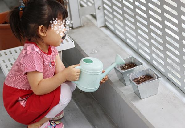 【子どもと育てる】小さな家庭菜園はじめました[PR]