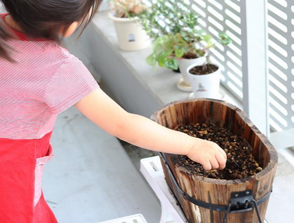 【子どもと育てる】小さな家庭菜園はじめました[PR]