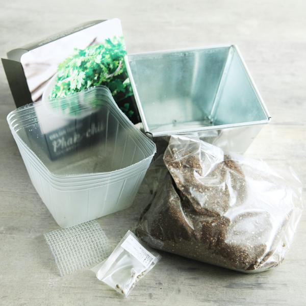 【子どもと育てる】小さな家庭菜園はじめました[PR]