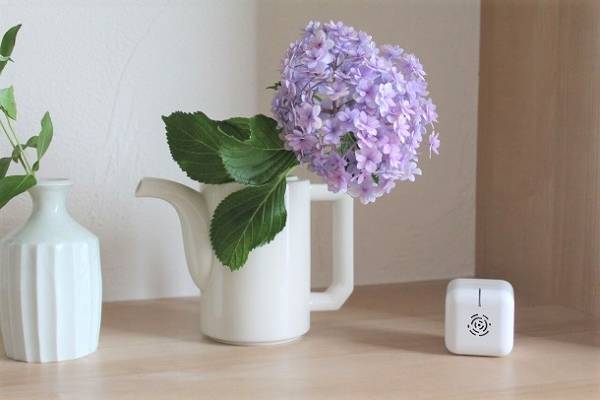 もう刺されない！ 部屋を丸ごと虫よけしてくれる、おしゃれ蚊対策グッズ