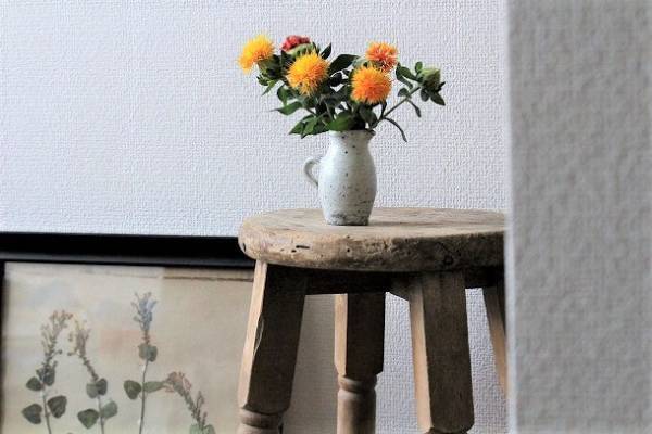 お花がもたないこの季節にも。夏に部屋を瑞々しく彩る、その方法って？[PR]