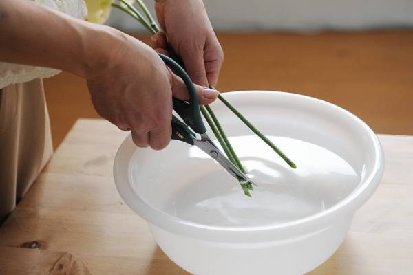 お花がもたないこの季節にも。夏に部屋を瑞々しく彩る、その方法って？[PR]