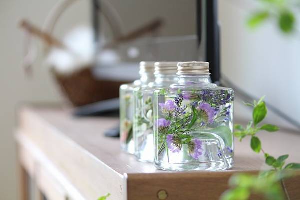 お花がもたないこの季節にも。夏に部屋を瑞々しく彩る、その方法って？[PR]