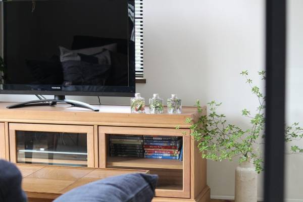 お花がもたないこの季節にも。夏に部屋を瑞々しく彩る、その方法って？[PR]