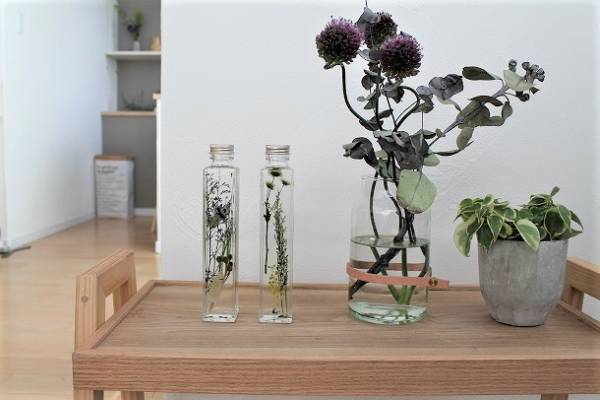 お花がもたないこの季節にも。夏に部屋を瑞々しく彩る、その方法って？[PR]