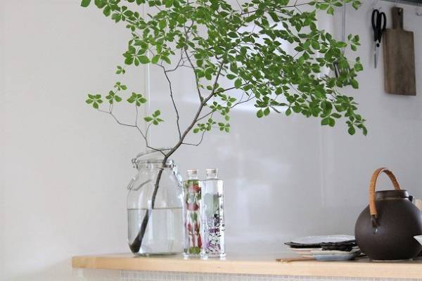 秋色ハーバリウムが到着♪お部屋に季節を取り入れよう！[PR]