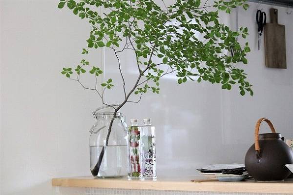 【今だけ送料無料♪】　置くだけで素敵空間に。お部屋にハーバリウムを飾ろう。[PR]