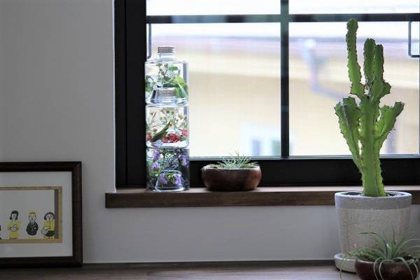 【今だけ送料無料♪】　置くだけで素敵空間に。お部屋にハーバリウムを飾ろう。[PR]