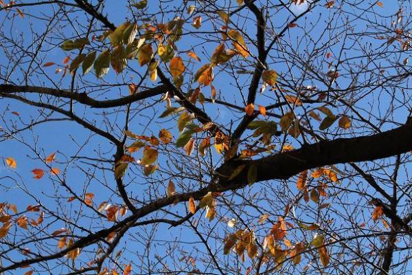 【angersの小さなうつわ市】ご来店ありがとうございました！[PR]