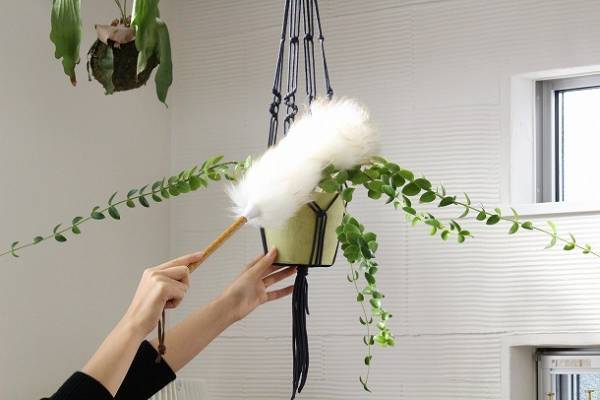 まるで雑貨みたい？これからの季節に欲しい、気分が上がるお掃除グッズ[PR]