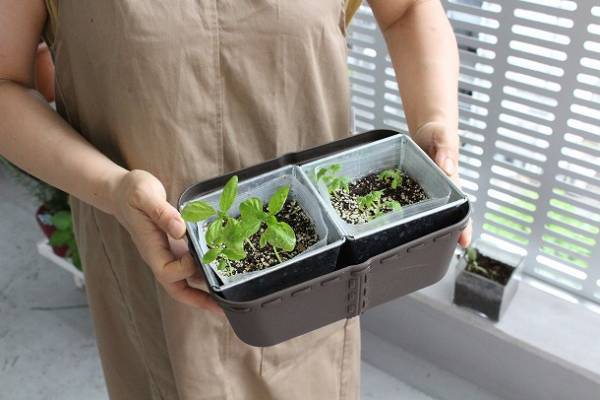 探していたのはこんなアイテム。見せる収納が叶う、フランス生まれの収納ボックス。＝スタッフの日常編＝[PR]