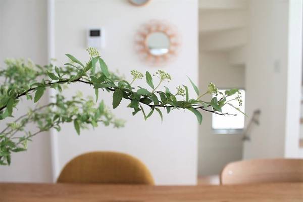 季節の変わり目に。ラタンミラーでできる簡単模様替えレッスン[PR]