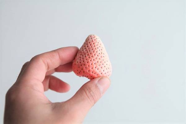 笑顔も一緒にプレゼント。思わず顔がほころぶおもしろプチギフト集[PR]