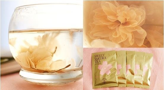 桜咲く季節に渡したい　春色ギフト集めました。[PR]