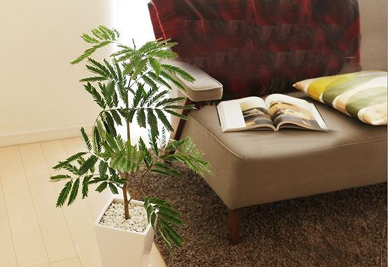 新生活を応援！喜ばれる新居祝い・引っ越し祝いを贈ろう。[PR]