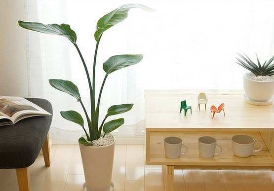 新生活を応援！喜ばれる新居祝い・引っ越し祝いを贈ろう。[PR]