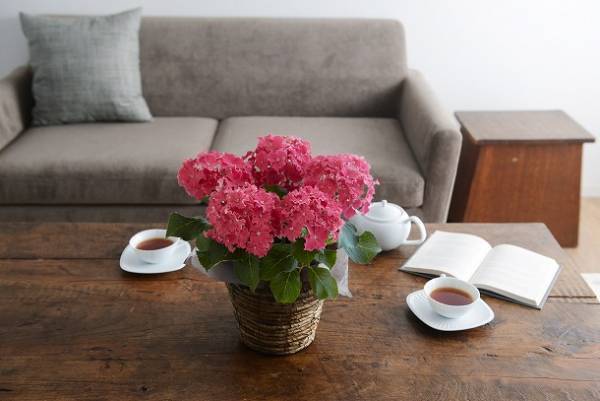 何を贈るか悩んだら。お母さんにきっと喜んでもらえる母の日ギフト[PR]