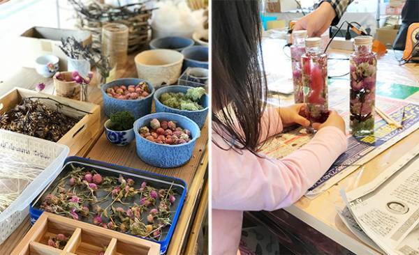 【母の日コラム】娘と私の心の種[PR]