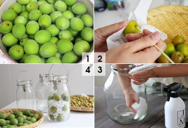 子どもも楽しめる「梅シロップ」レシピ　早く仕上がる簡単テクニックも！