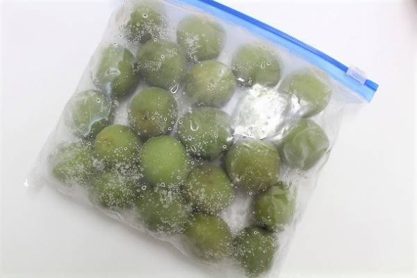 子どもも楽しめる「梅シロップ」レシピ　早く仕上がる簡単テクニックも！