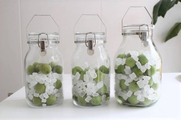 子どもも楽しめる「梅シロップ」レシピ　早く仕上がる簡単テクニックも！