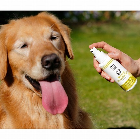 人気インスタグラマーのワンちゃんも愛用！ おしゃれでかわいいペットアイテム