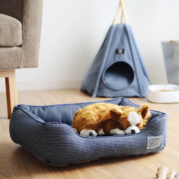 インスタグラマーさん家のワンちゃんたちの、最近のお気に入りって？[PR]