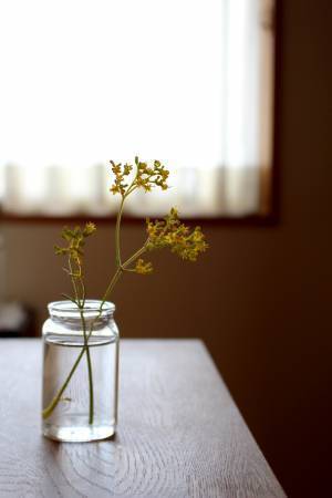 【ありきたりな日常を楽しむためのヒント】季節を感じながら暮らす6つの工夫[PR]