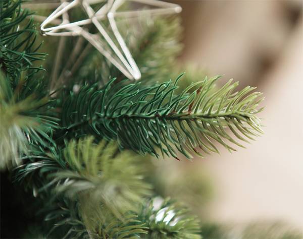 毎月17日はアンジェいいなの日、週末スペシャル！クリスマス準備にも[PR]