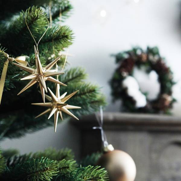 毎月17日はアンジェいいなの日、週末スペシャル！クリスマス準備にも[PR]