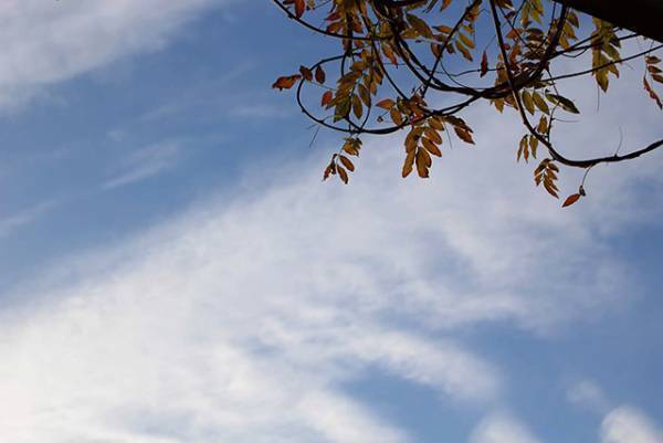 【ありきたりな日常を楽しむためのヒント】素敵な人に学ぶ、心の余裕の作り方[PR]