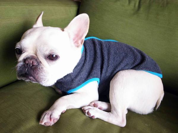 【スタッフのお気に入り】我が子を愛する！？バイヤー編[PR]