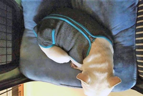 【スタッフのお気に入り】我が子を愛する！？バイヤー編[PR]