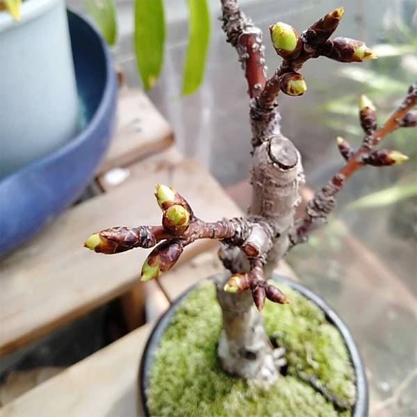 【今月のスタッフのお気に入り】今の季節におうちで楽しむアレから話題の家電までお届け！[PR]