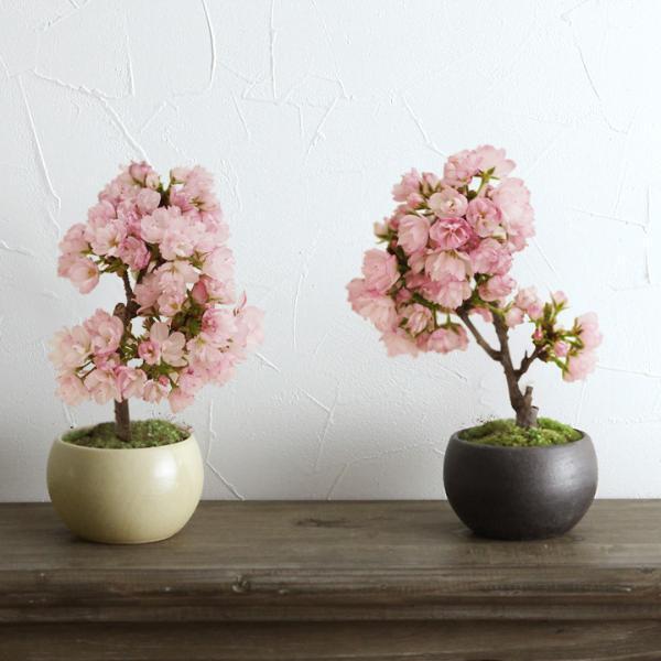 【今月のスタッフのお気に入り】今の季節におうちで楽しむアレから話題の家電までお届け！[PR]