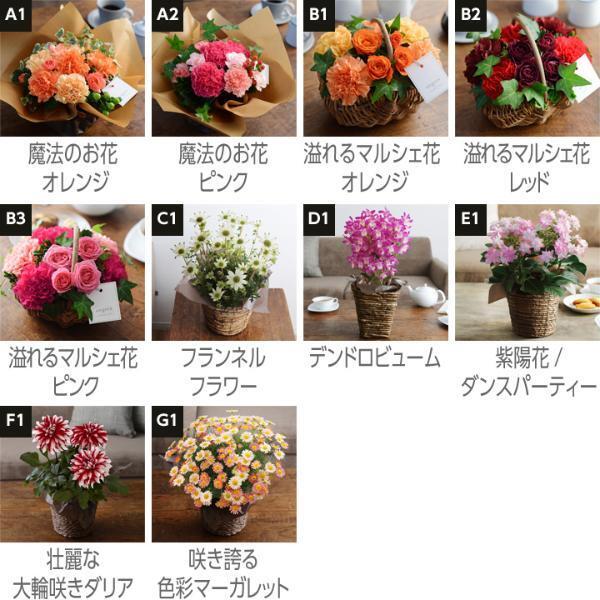 母の日に贈りたい、過去196,336人が感動した「フラワーアレンジメント」って？〜超早得はもうすぐ終了[PR]