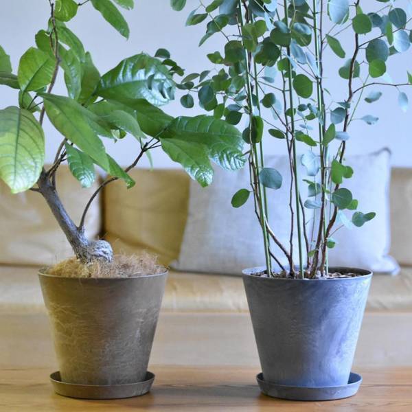 インスタグラマーさんがこの春買い足した、インテリアグッズ4選[PR]