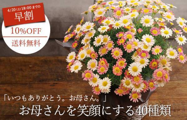 ※スタッフ達のお母様方、ネタバレ注意です。今年の母の日ギフト選び♪[PR]