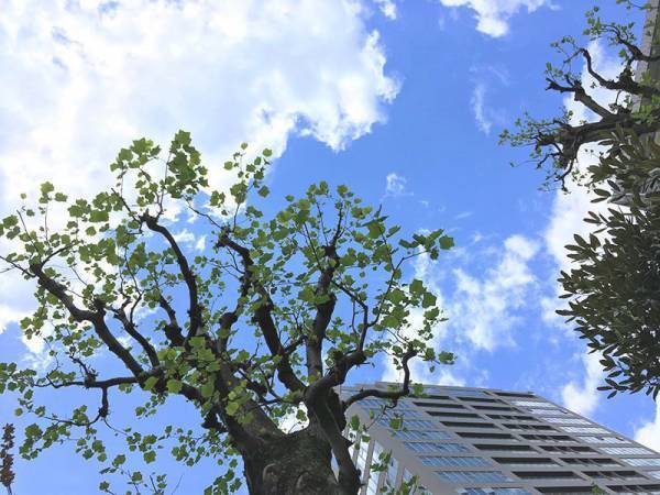 【ありきたりな日常を楽しむためのヒント】暮らしで大切にしたい「無駄」のお話[PR]