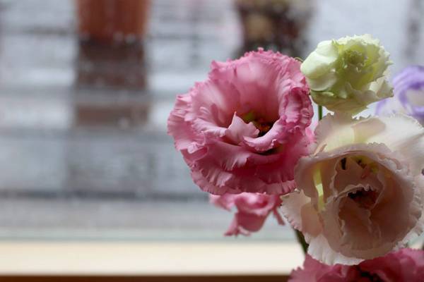 【ありきたりな日常を楽しむためのヒント】雨の日のワクワクを探してみよう[PR]