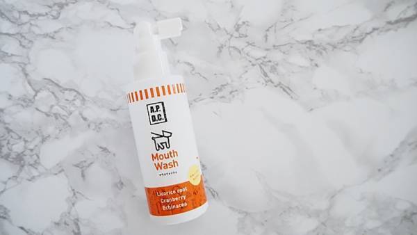 アンジェアンバサダー、mariさんとワンちゃんの最近のお気に入りペットグッズって？[PR]