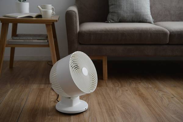 「2019夏のボーナス」買い足すならコレ！ 家電バイヤー厳選5アイテム