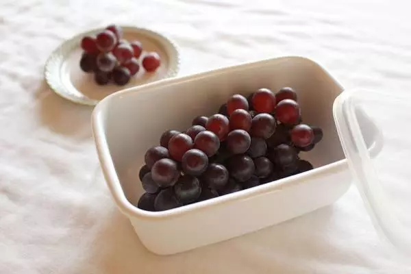 【野田琺瑯を使いこなそう2】保存容器、どう使い分ける?(前編)