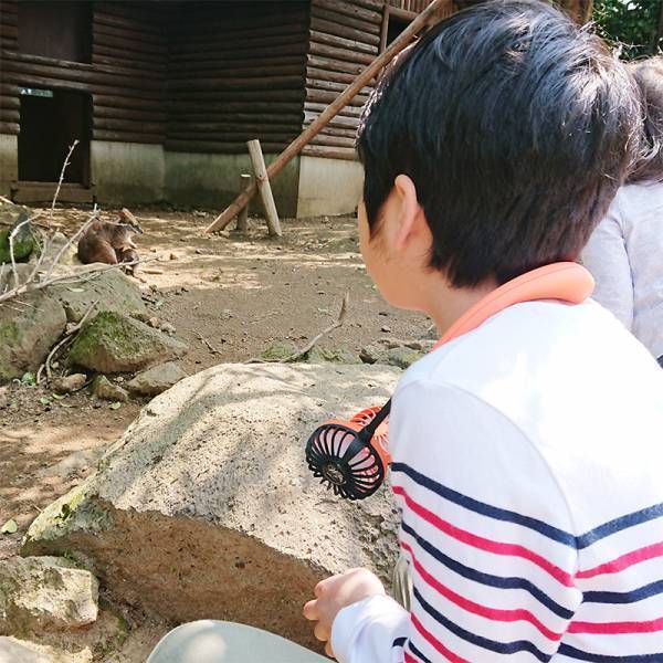 【今月のスタッフのお気に入り】リゾートから日常使いまで、みんなのダブルファン[PR]