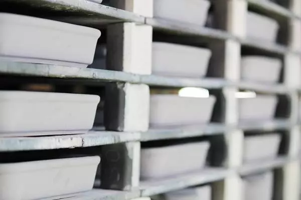 【19周年企画】簡単なのにちゃんと美味しい!「グリラー」開発担当者さんに聞くここだけの話